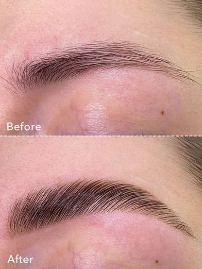 SHEGLAM Long-Lasting Brow Gel – Non-Greasy Eyebrow Shaping Gel